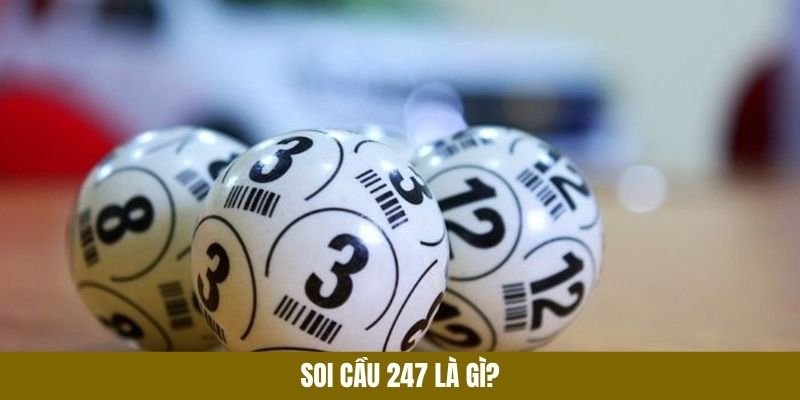 tim-hieu-them-ve-soi-cau-247